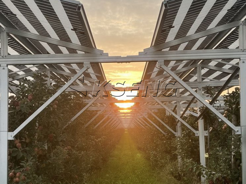 Casestudy – Zonne-energiepark van 3 MW in Duitsland: Een succesverhaal met de Agri-PV-structuur van Kseng Solar