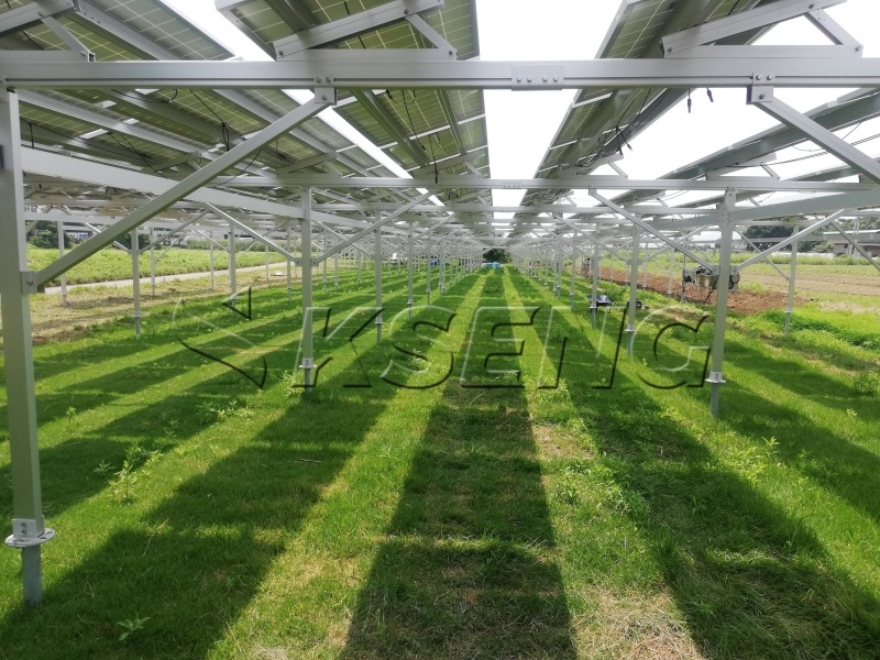 Een artikel over complementaire fotovoltaïsche landbouwsystemen