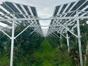 3MW-Solar Farm Agriculture Bracket Project in Germany